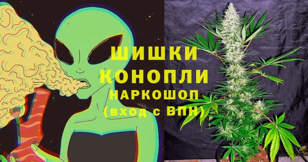 прущие грибы Белоозёрский